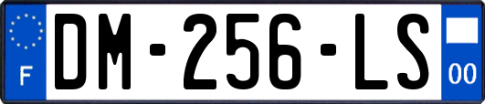 DM-256-LS