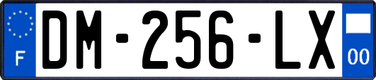 DM-256-LX