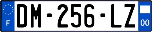 DM-256-LZ