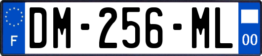 DM-256-ML