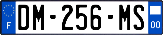 DM-256-MS