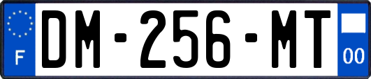 DM-256-MT