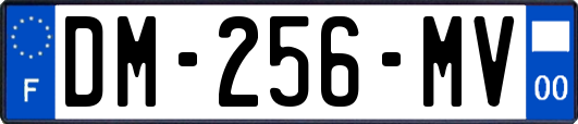 DM-256-MV