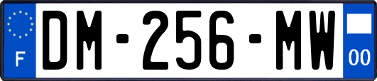 DM-256-MW