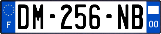 DM-256-NB