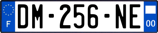 DM-256-NE