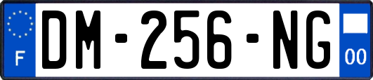 DM-256-NG