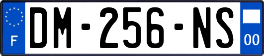 DM-256-NS