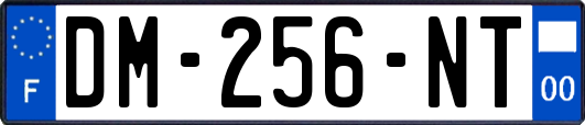 DM-256-NT
