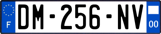DM-256-NV