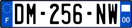 DM-256-NW