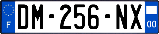 DM-256-NX