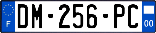 DM-256-PC