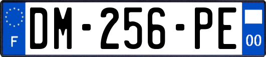 DM-256-PE