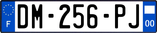 DM-256-PJ