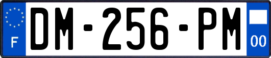 DM-256-PM