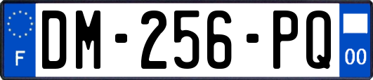 DM-256-PQ