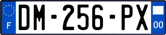 DM-256-PX