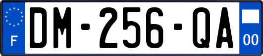 DM-256-QA