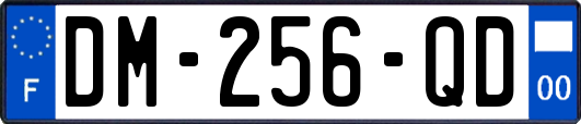DM-256-QD