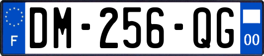 DM-256-QG