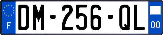 DM-256-QL