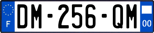 DM-256-QM