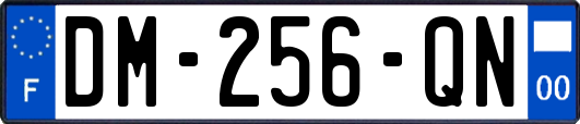 DM-256-QN