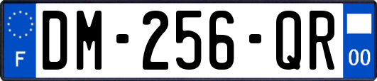 DM-256-QR