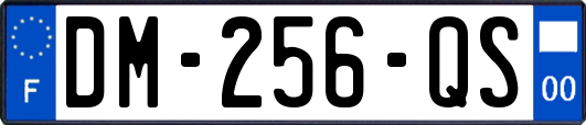 DM-256-QS