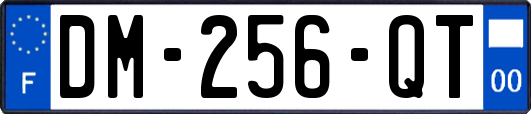 DM-256-QT