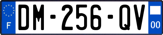 DM-256-QV