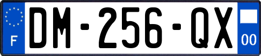 DM-256-QX