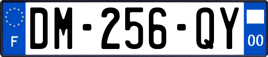 DM-256-QY