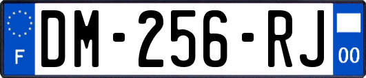 DM-256-RJ