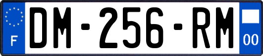 DM-256-RM