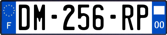 DM-256-RP