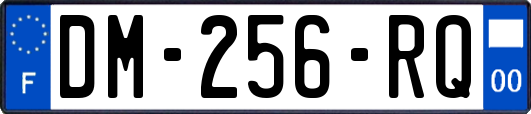 DM-256-RQ