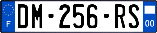 DM-256-RS