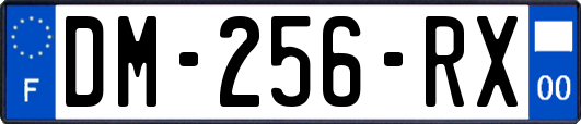 DM-256-RX