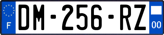 DM-256-RZ