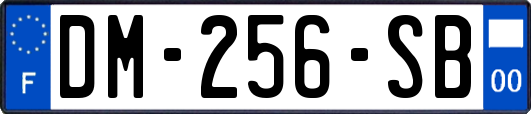 DM-256-SB