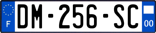 DM-256-SC