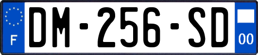 DM-256-SD