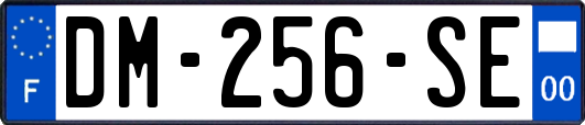 DM-256-SE