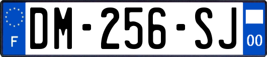 DM-256-SJ