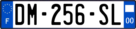 DM-256-SL