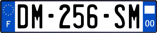 DM-256-SM