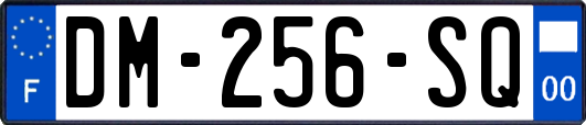 DM-256-SQ