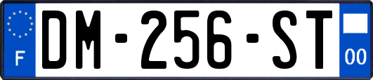 DM-256-ST
